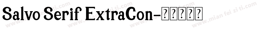 Salvo Serif ExtraCon字体转换